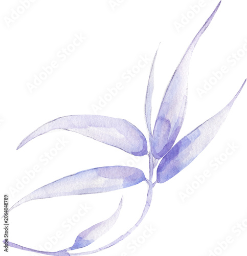 Watercolor bamboo leaves branch llustration, hand drawn delicate bamboo leaf clip art, nature clipart