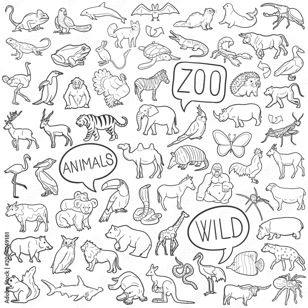 Obraz premium Zoo Animals Vector Illustration Hand Drawn Collection Nature Icon Doodle Set