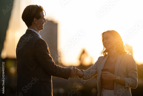 Business colleagues shaking hands making a deal during sunset