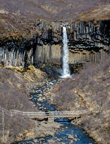 Svartifoss waterfall with hexagonal basalt columns in skaftafell national Park iceland