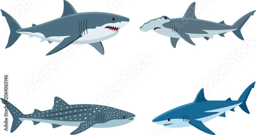 Fotografija Shark Marine Vector Illustration Featuring Great White, Hammerhead, Whale, Blue