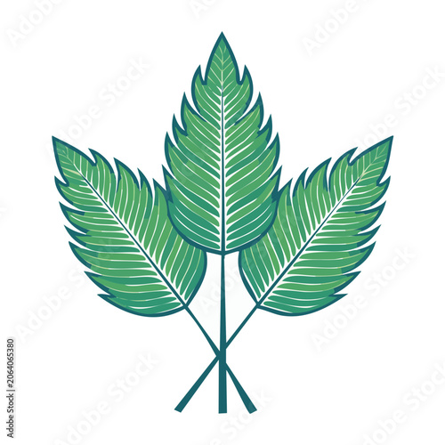 Flat design palm leaf vector illustration