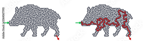 Boar maze with solution outline in abstract design  