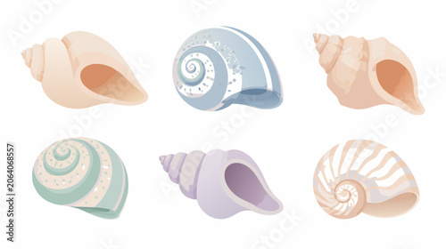 Elegant spiral ocean seashell illustration, clean flat vector design of a marine gastropod shell, perfect for summer beach themes and natural history graphics, isolated on white background.