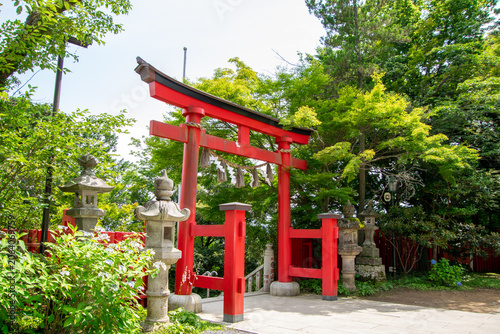 Photography Red torii gate at a Shinto shrine on Mount Takao near Tokyo, Japan