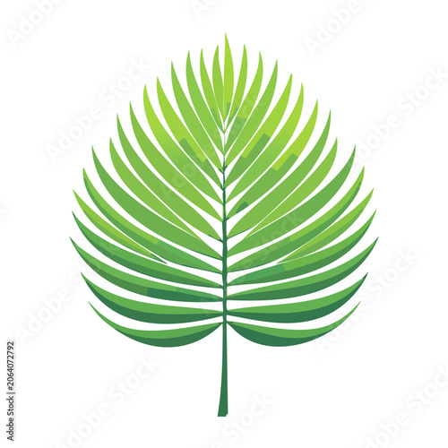 Flat design palm leaf vector icon