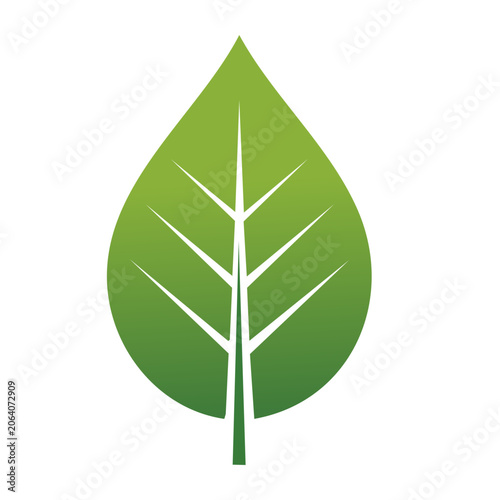 Green flat design leaf vector