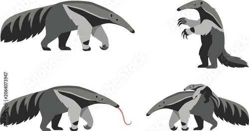 Tableau sur toile Anteater Vector Illustration Featuring Walking, Standing, Tongue Extended, Carry