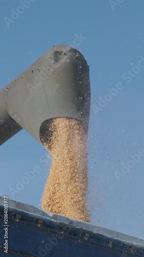 Combine harvester working in a large dry corn field during the autumn harvest season, kicking up dust under warm golden sunlight.