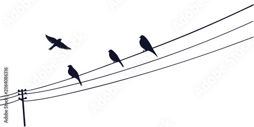 Silhouette illustration of small birds perched and flying on electrical power lines against a white background with silhouette electricity electric