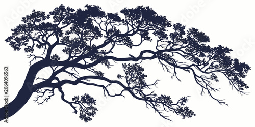 Photos Dense tree branch silhouette spreading outward with foliage silhouette botanical