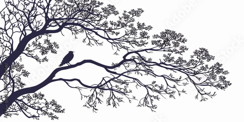 Obraz na plátně Lonely bird resting on sprawling tree branch silhouette with silhouette isolated