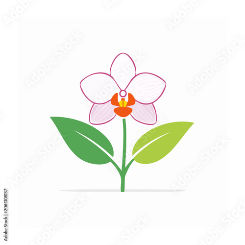Pink orchid flower with green leaves flat illustration