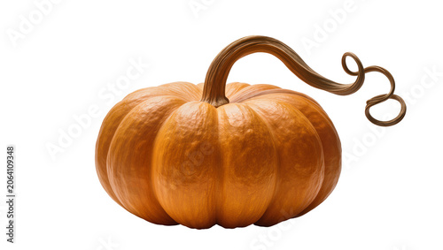 Obraz na plátně Orange pumpkin with curved stem and tendril