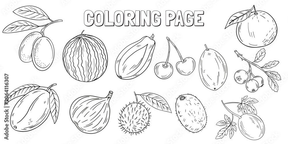 Fototapeta premium Hand-drawn coloring page featuring a variety of fruits in black and white outline. Hand-drawn coloring page featuring a variety of fruits in black and white outline