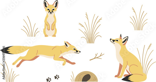 Tableau sur toile Desert Fennec Fox Vector Illustration Set with Wild Animals in Standing Running