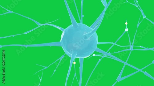 Cam rotation starting cyan neuron rotating pale markers moving to soma showing signal transparent