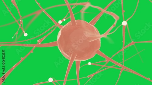 Camera rotating neuron cluster turning, nodes sliding on branches to show network on transparent bg