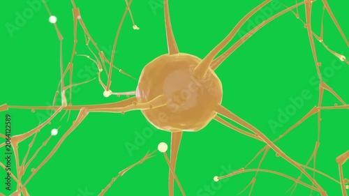 Camera orbiting starting neuron rotating glowing nodes moving showing signal flow on transparent bg