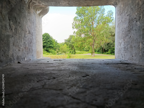A concrete tunnel leading into the forest