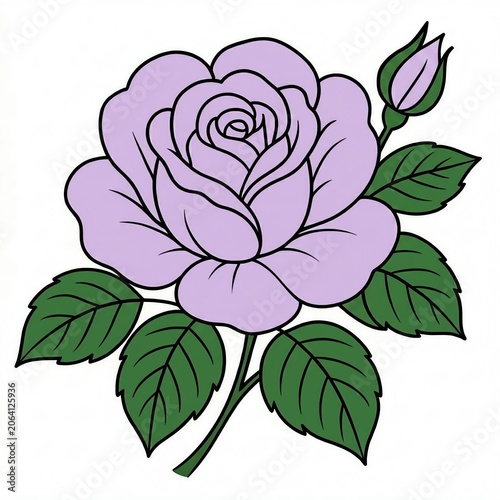 rose flower illustration 