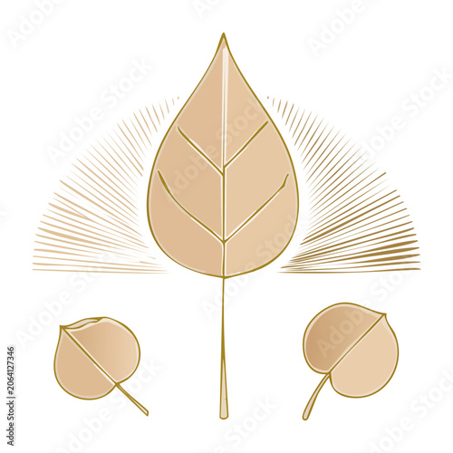 Flat design butterfly with flower and leaf
