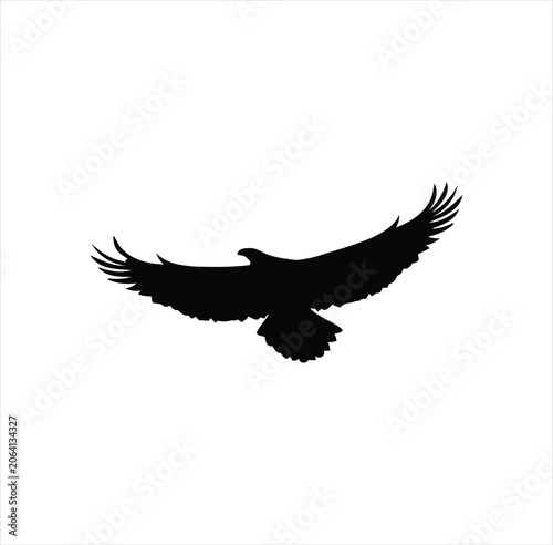 Silhouette of a powerful eagle with spread wings flying, isolated on transparent background.