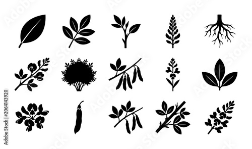 Foto Botanical soybean plant icons set, black silhouette legume and soy leaf vectors,
