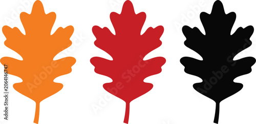 Tableau sur toile Autumn oak leaves collection set, colorful seasonal foliage vector illustration