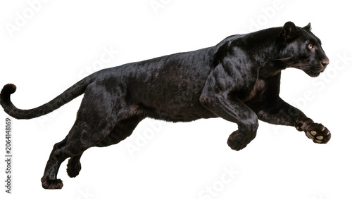 Photos Black panther running with powerful muscles and yellow eyes