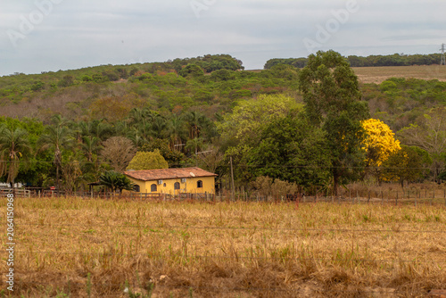 Paisagem de uma fazenda, com uma casa amarela no meio da vegetação local.