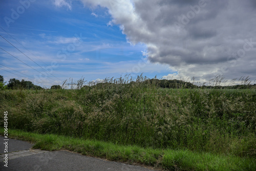 Scenic rural landscape with high wild grass field under a blue cloudy sky near Wuppertal and Velbert in North Rhine-Westphalia, Germany. 