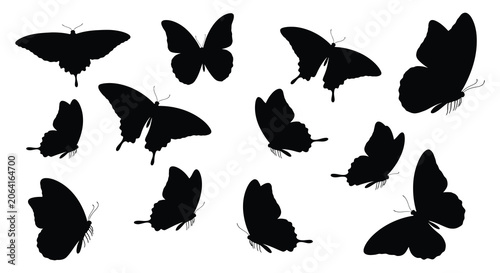 Photos Black Butterfly Silhouettes Collection Minimalist Shapes Against White Backgroun