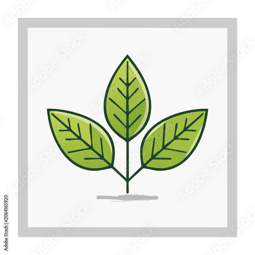 Flat design green leaf vector icon