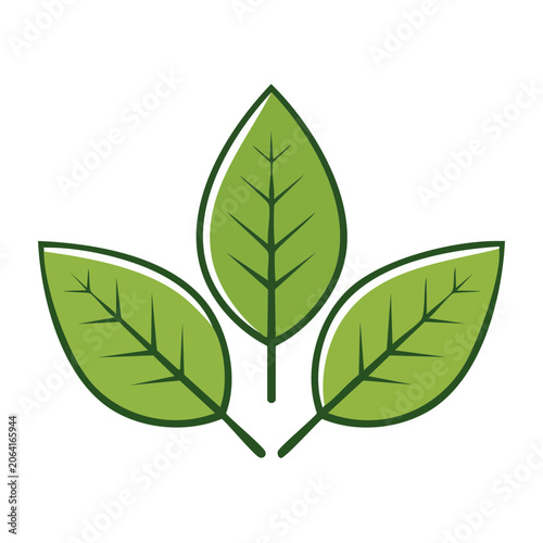 Flat design maple leaf vector illustration