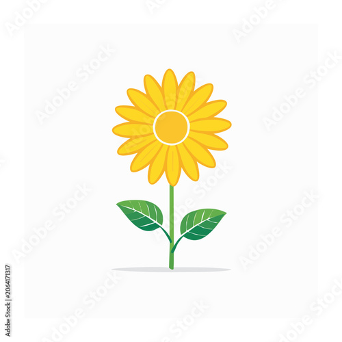 Sunflower flat design isolated