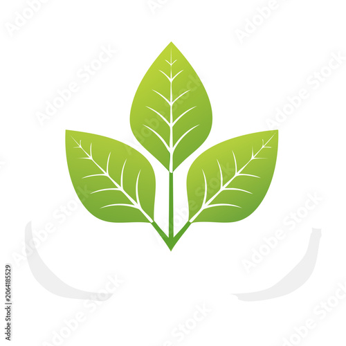 Green flat design leaf icon