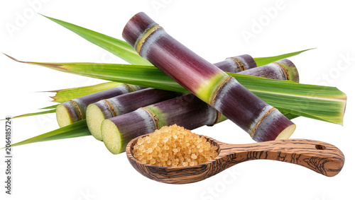 Purple sugar cane stalks with green leaves and brown sugar in wooden spoon