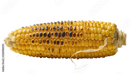 Grilled corn on the cob with charred kernels and silk