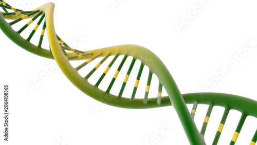 Foto Green and yellow DNA double helix structure