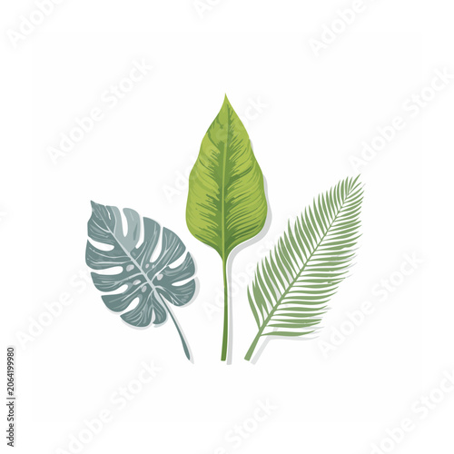 Tropical Leaves Flat Illustration