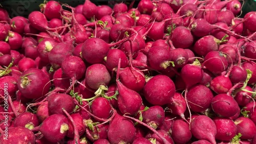 Pile of fresh red radishes with green tops