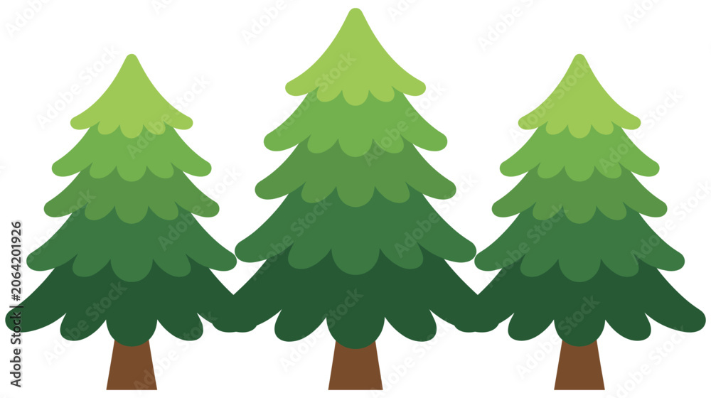 Fototapeta premium Three evergreen coniferous trees in a row, natural forest.