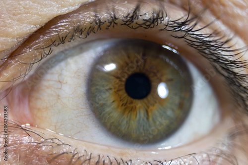 Bild auf Leinwand ojos