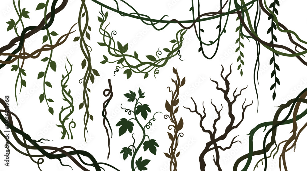 Obraz premium Set of hanging vine and branch elements on white background