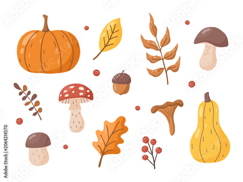 Set of autumn elements. Fall leaves, pumpkins, mushrooms, acorn, berries. Vector illustration.