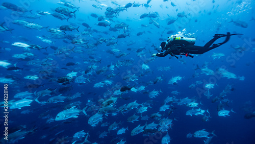 Photography SCUBA Diver swims with huge school of fish in open ocean