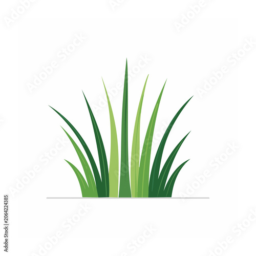 Flat design green grass blades on white background