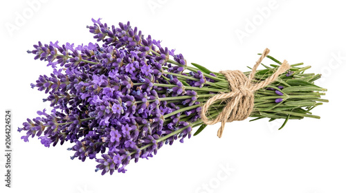 Obraz na plátně Fresh lavender bunch tied with twine rope isolated on transparent background for herbal design concepts