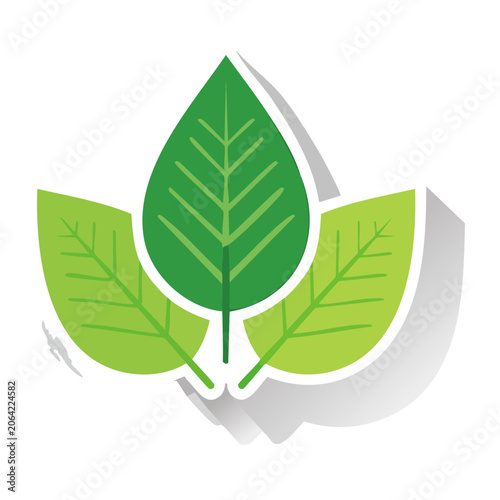 Green Leaf Vector Icon with Transparent Background